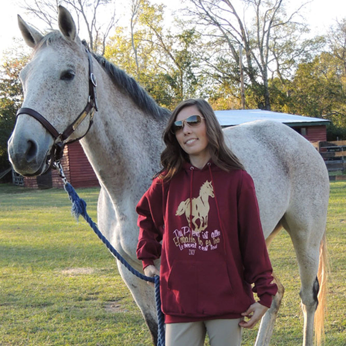Le Cheval horse hoodie