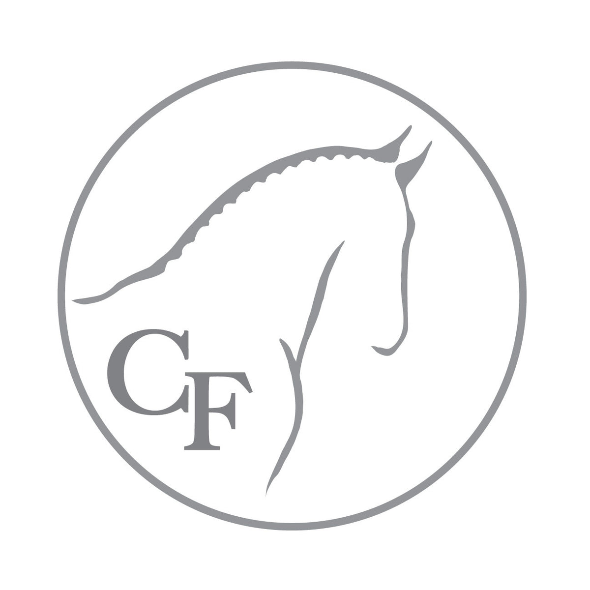 Horse logo design