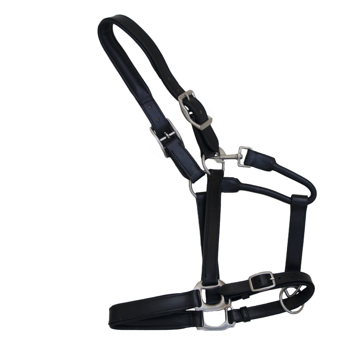 Padded leather halter