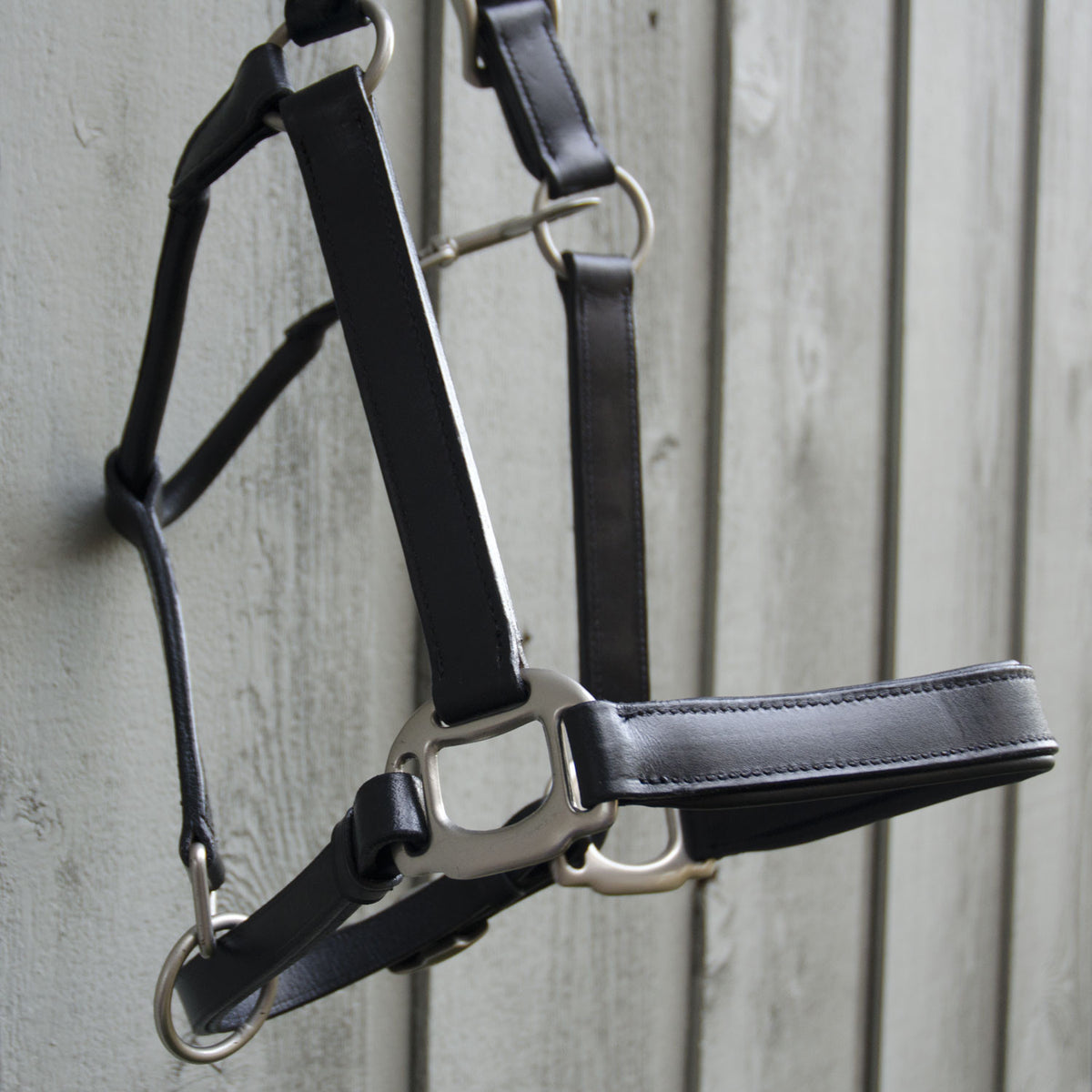 Padded black leather halter