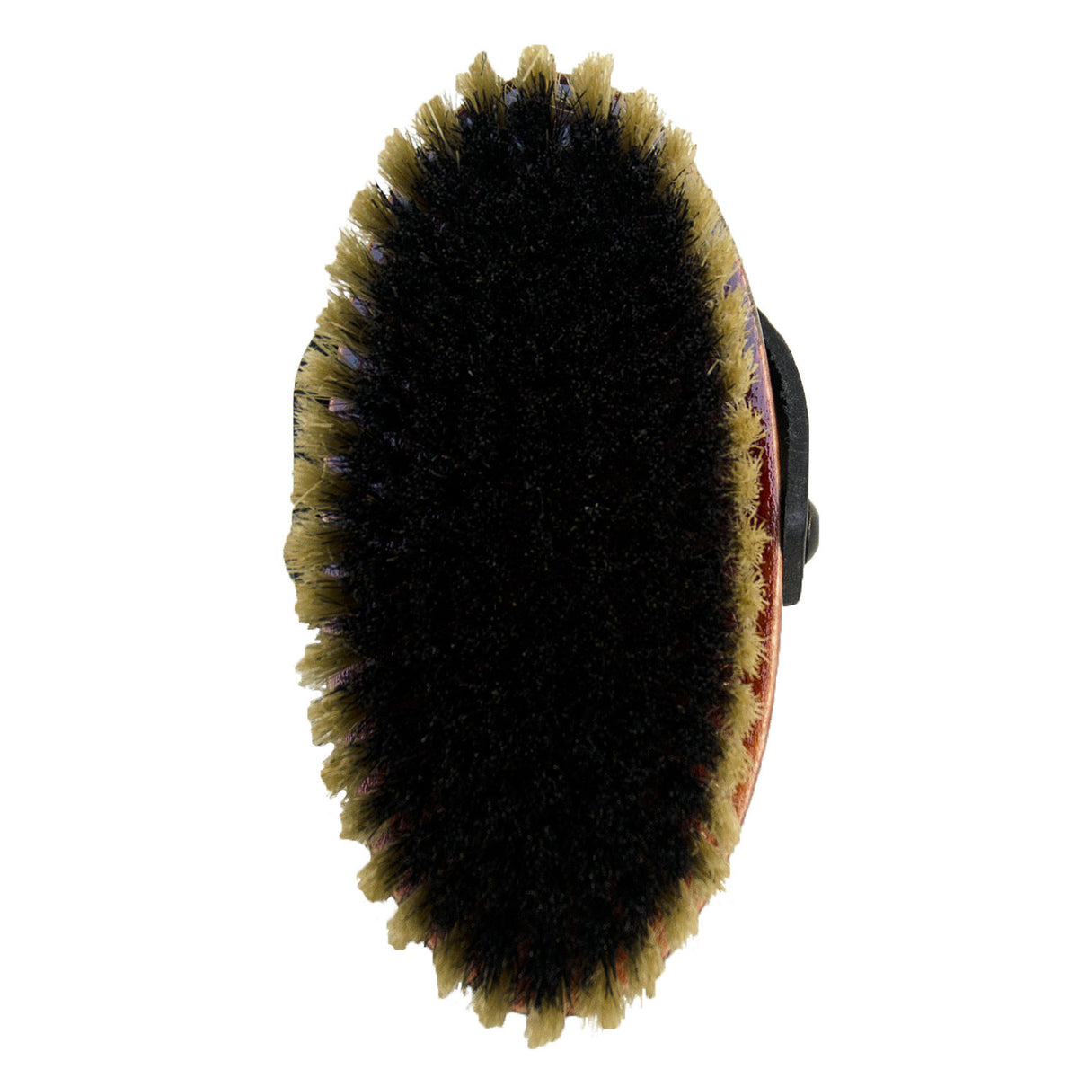 Horse face brush