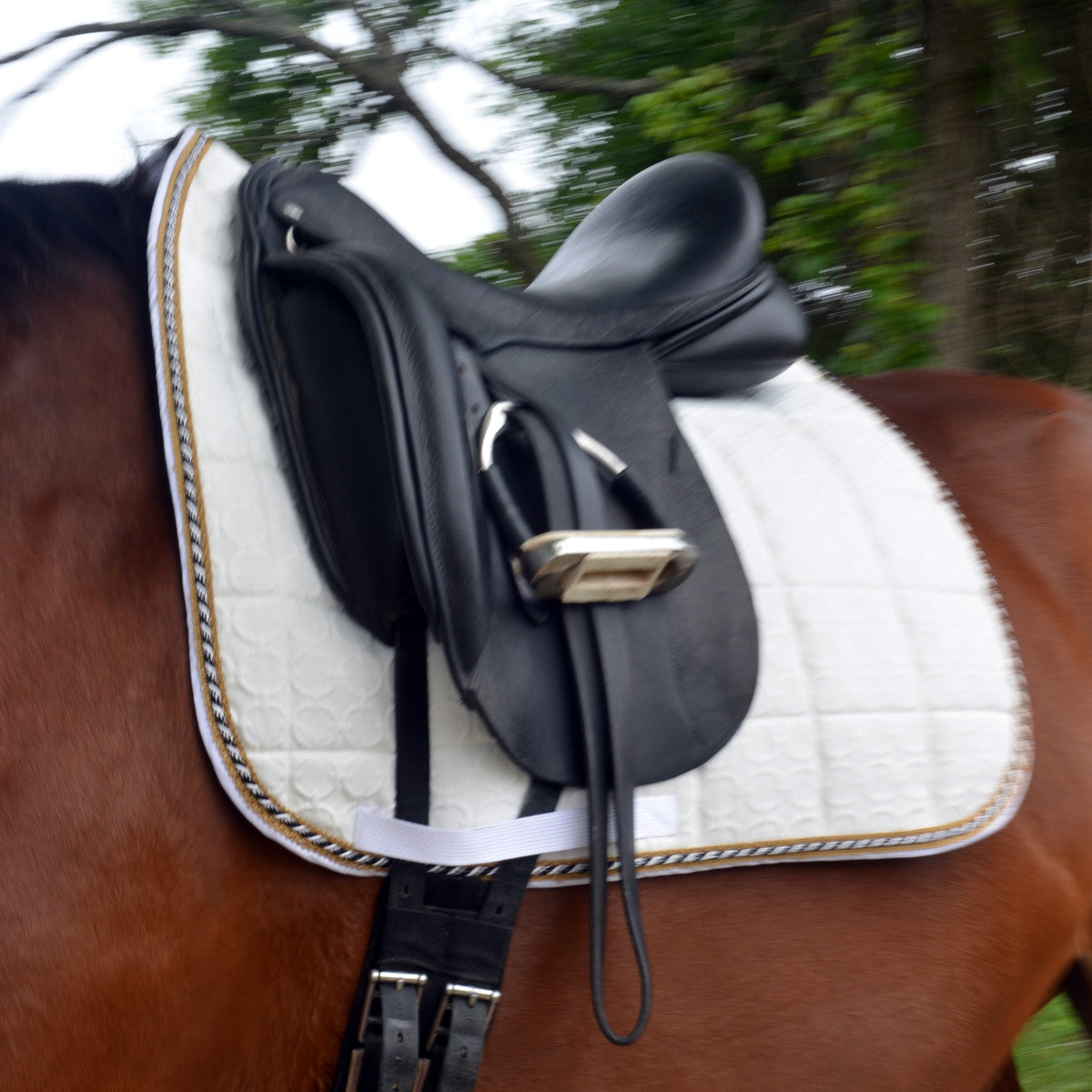 large dressage saddle pad