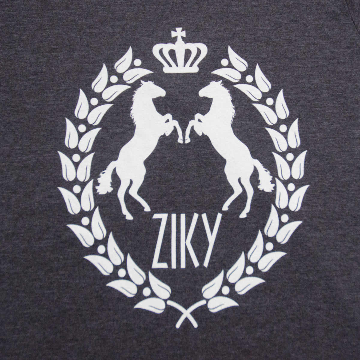 Equestrian champion shirt