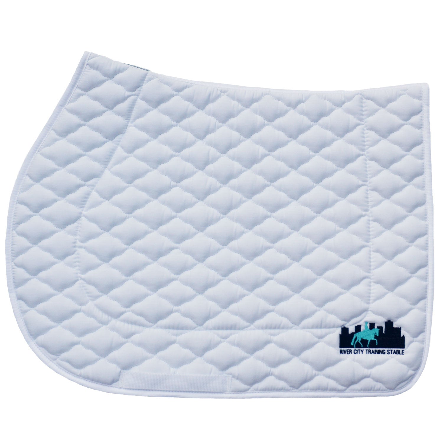 DESCENDANT/PLAID STALL (TEAL)